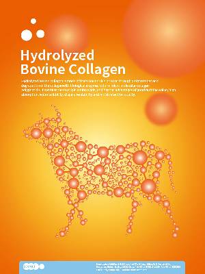 Hydrolyzed Bovine Collagen Protein