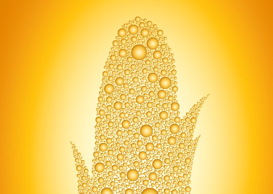 玉米肽
