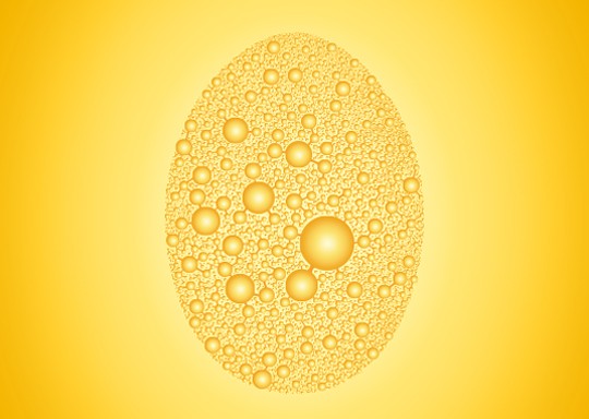 蛋壳膜肽