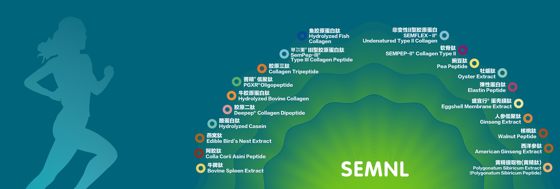 全球生物活性肽<br/>专业的生产服务商