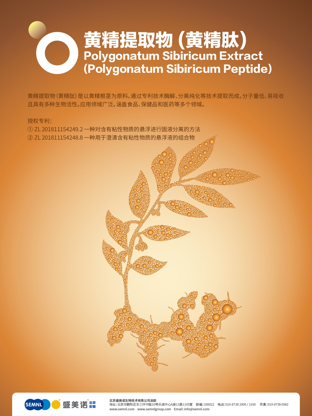 黄精肽（黄精提取物）