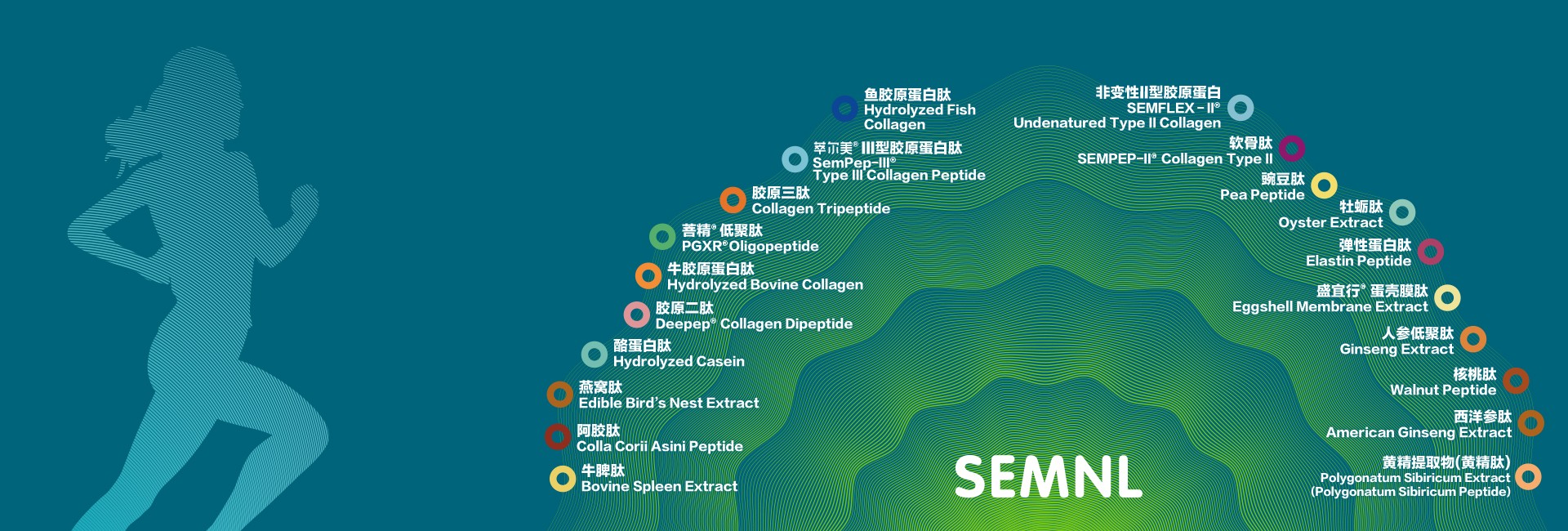 全球生物活性肽<br/>专业的生产服务商