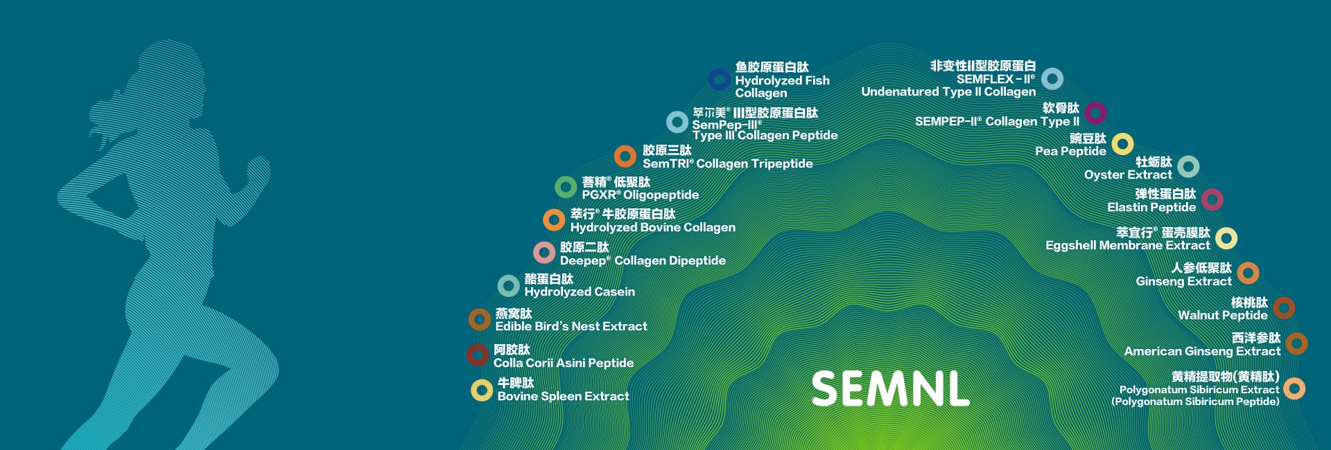 全球生物活性肽<br/>专业的生产服务商